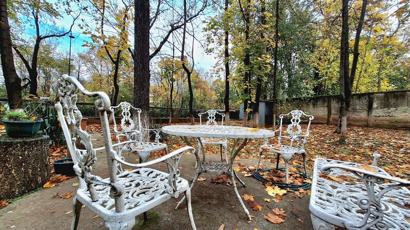 Kiseleff, Aviatorilor apartament cu caracter unic